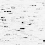 interstellare_3